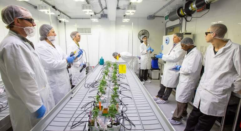 marihuana-canada-reuters-4.jpg