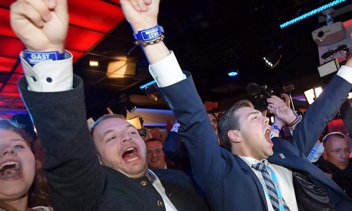 afd-simpatizantes-elecciones-alemania.jpg