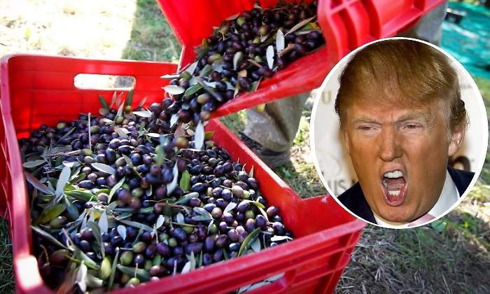 aceitunas-trump.jpg