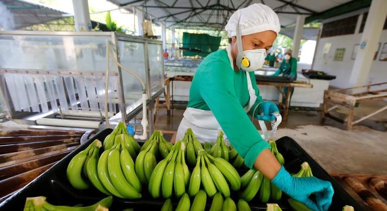 PLATANO-INDUSTRIA-REUTERS-770.jpg