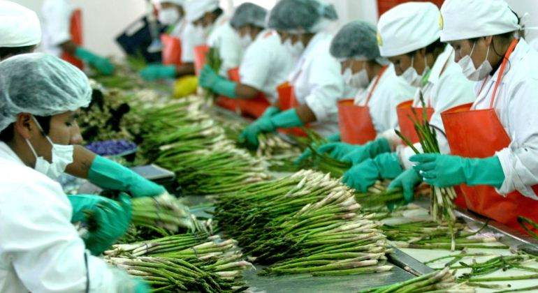 Agroexportacion