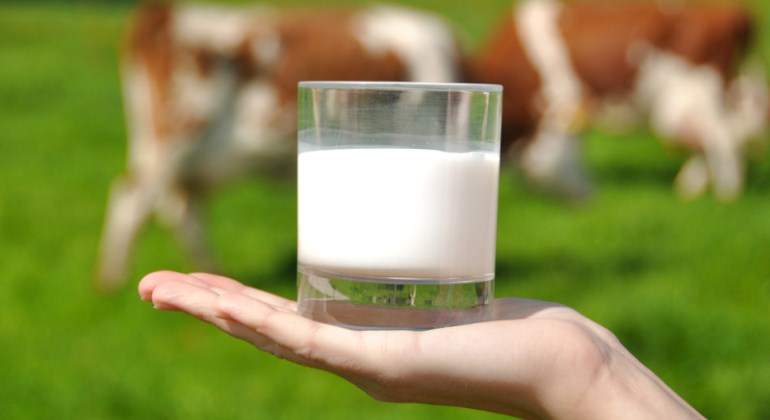 Leche