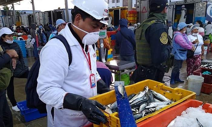 pescadecomiso770.jpg