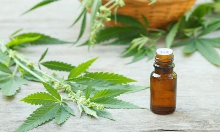 cannabis medicinaljpg