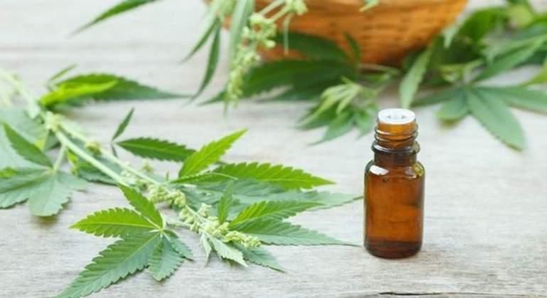 cannabis-medicinal