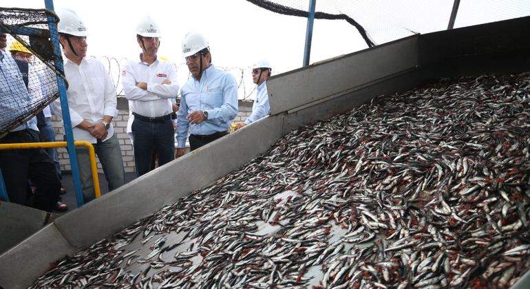 pesca