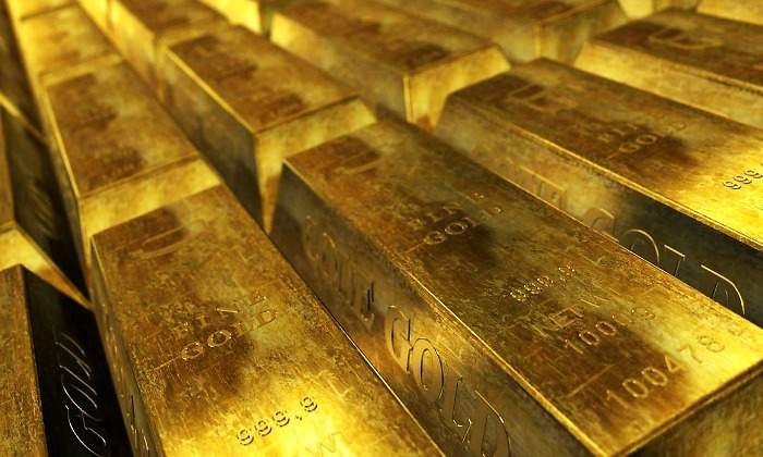 oro bolsa refugio