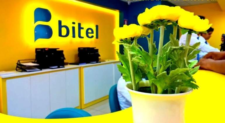 Bitel