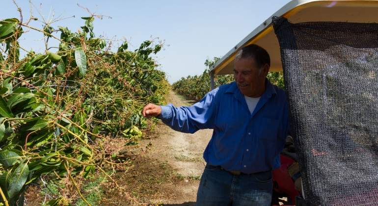agricultura-tlcan-efe-770.jpg