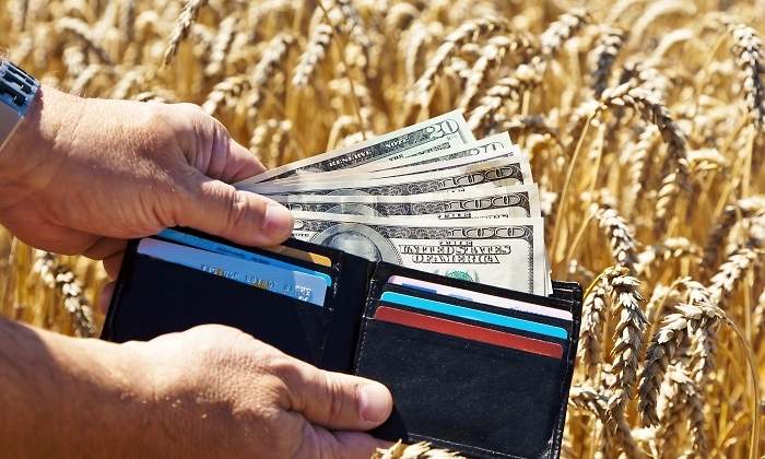 agricultura-cultivo-trigo-dolares-eeuu-getty.jpg