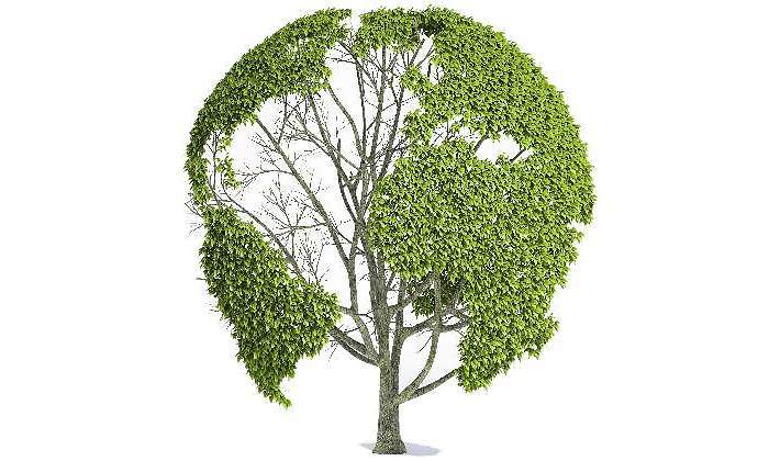 arbol-mundo.jpg