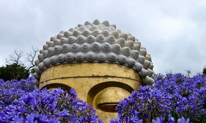 viaje-buda-dreamstime.jpg