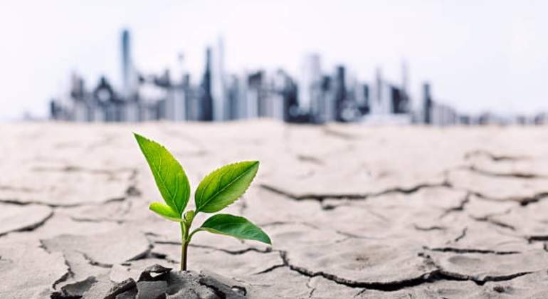 Cambio climtico