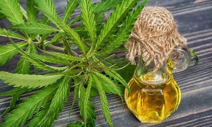 Cannabisaceite770.jpg