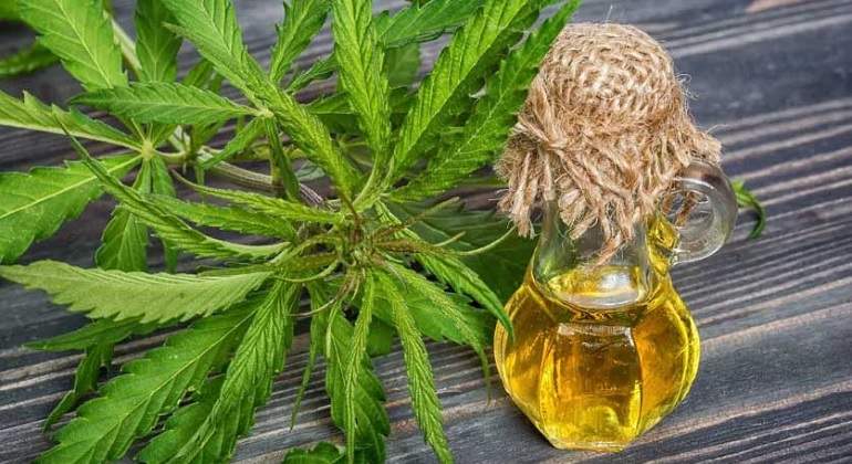 Cannabisaceite770.jpg