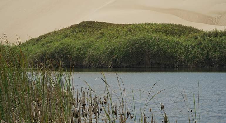 Laguna-Moron-4.jpg