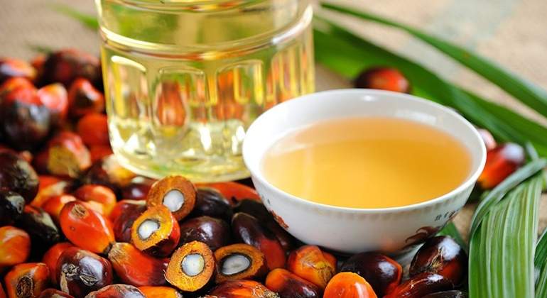 aceite-de-palma-uno
