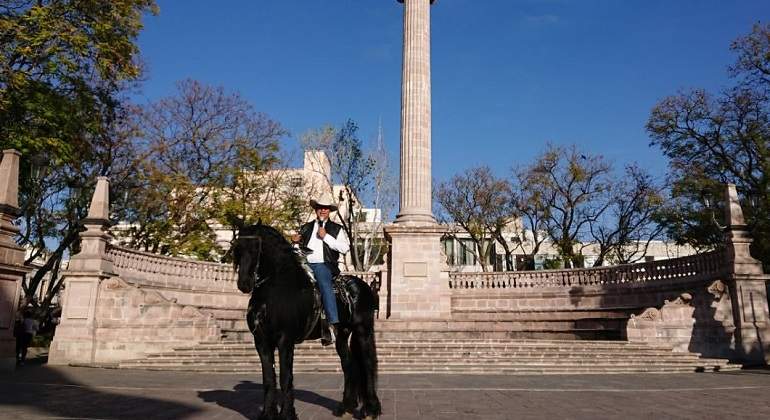 Bronco-caballo-770.jpg