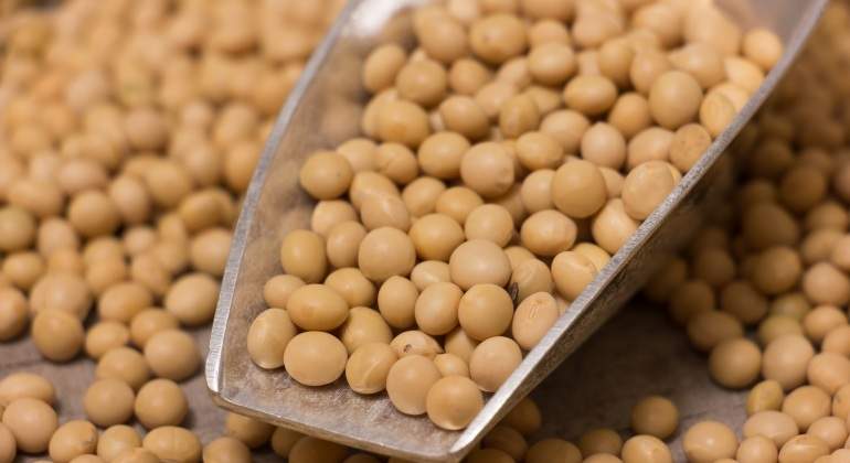 soya-dreamstime-770x420.jpg