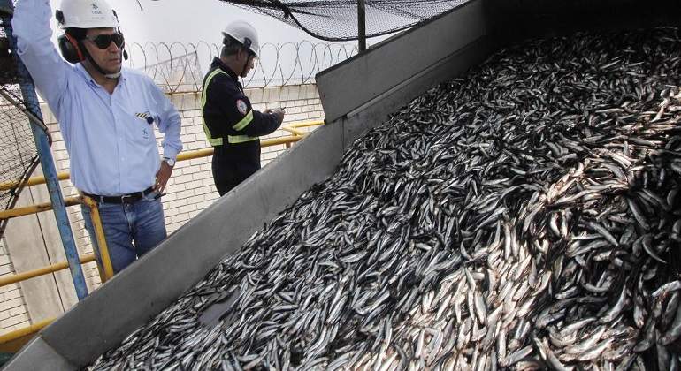 pesca770x420.jpg