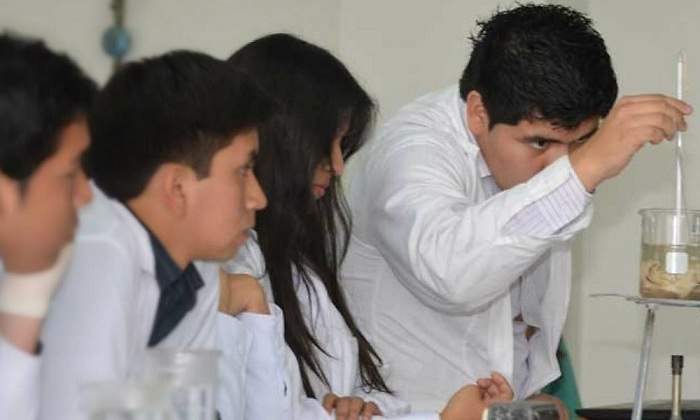 Investigadores