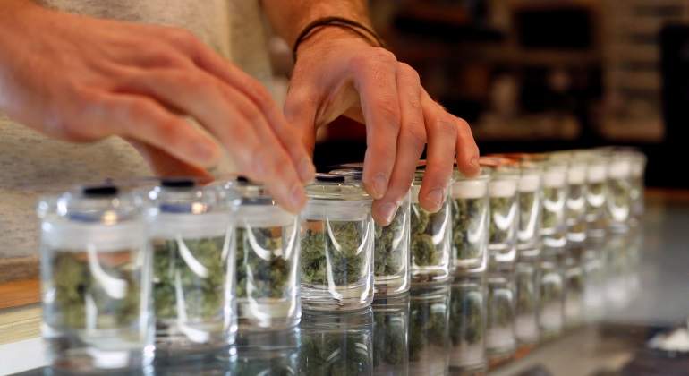 marihuana-medicina-reuters.jpg