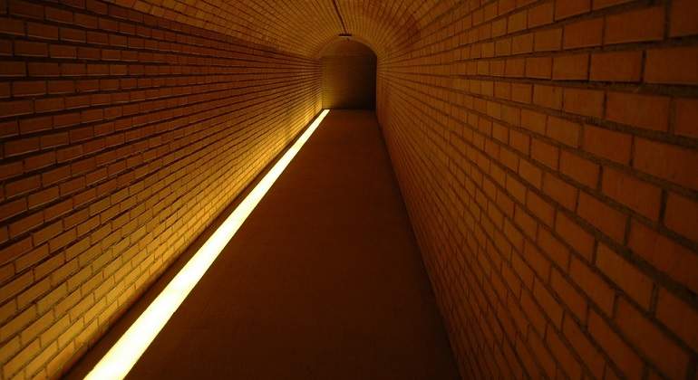 Luz770.jpg