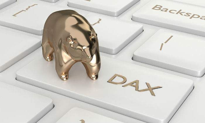 dax-oso-teclado.jpg