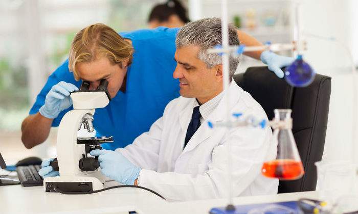 investigacion111111111111.jpg