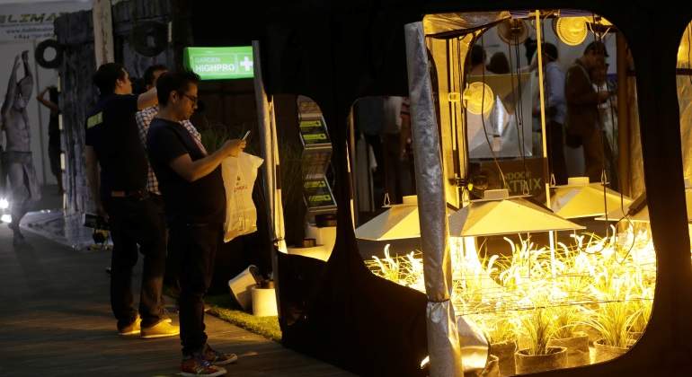 expoweed-reuters.jpg