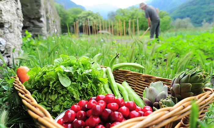 agricultura-ecologica