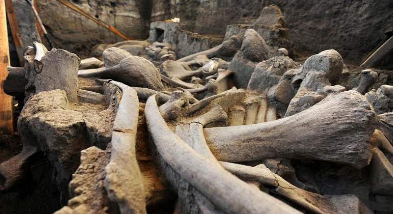 Huesos-mamut-reuters.jpg