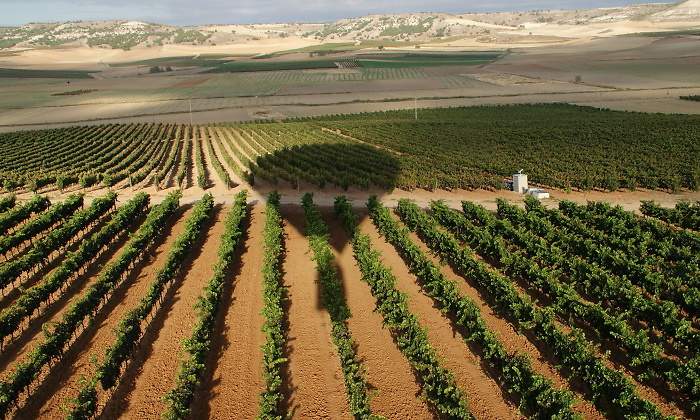 ribera-duero-globo-1.jpg