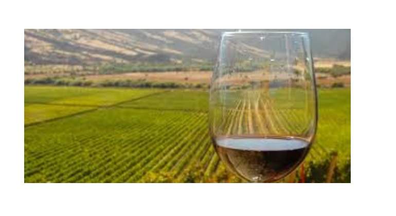 vinos.jpg