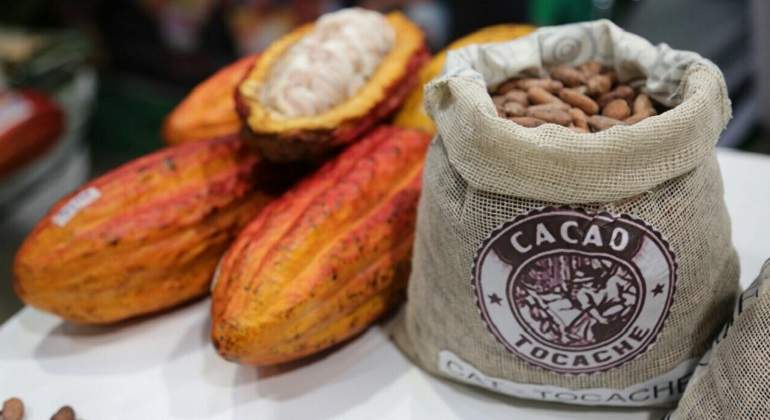 cacao770x420.jpg