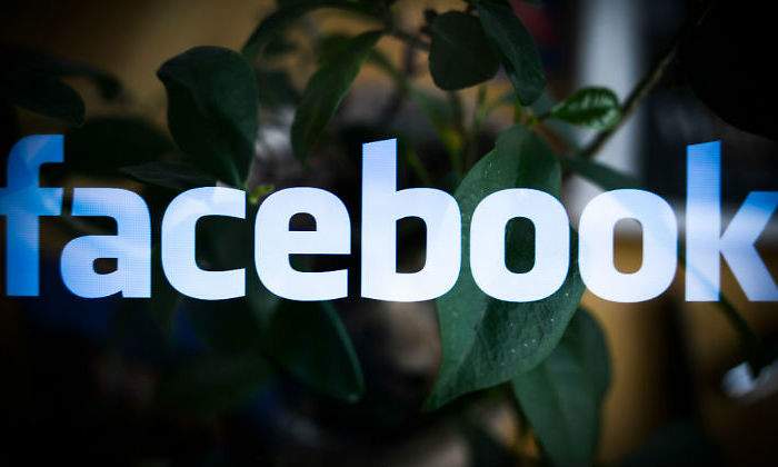 facebook-planta.jpg