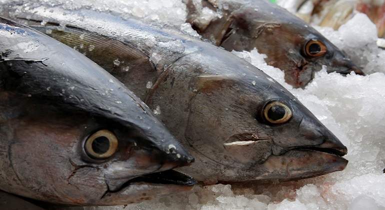 Atun-reuters.jpg