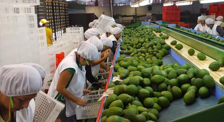 Agroexportacion