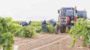 zona-zepa-campo-cultivo.jpg