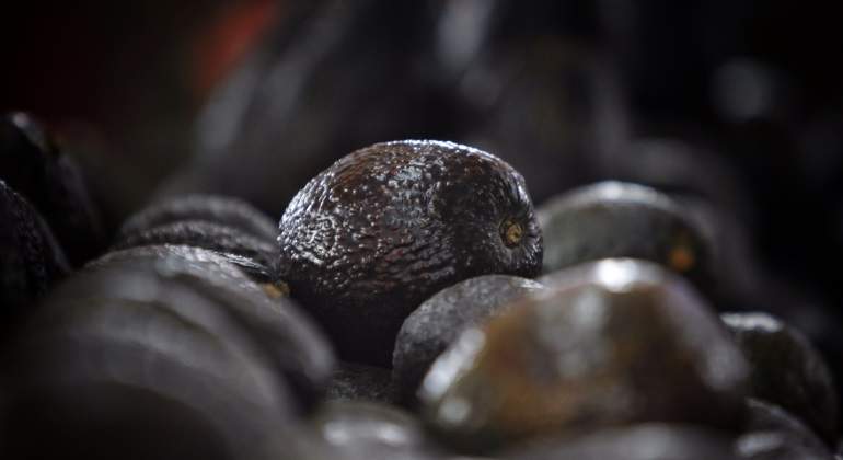 aguacates-efe-770x420.jpg