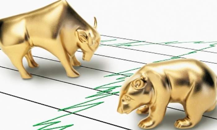bolsa-toro-oso rebote fiabilidad