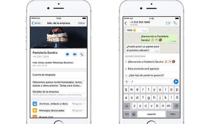 whatsapp-business-iphone.jpg