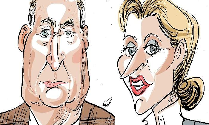 napi-gauland-weidel.jpg