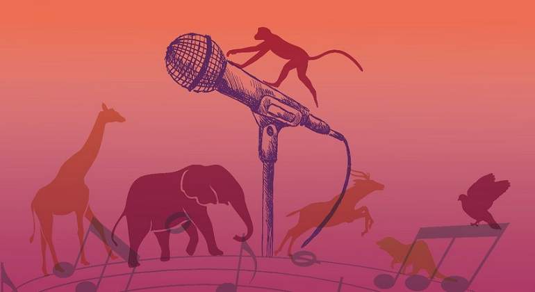carta-morrisey-770-420-senado-animales-circo.jpg