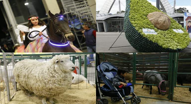 agroexpo
