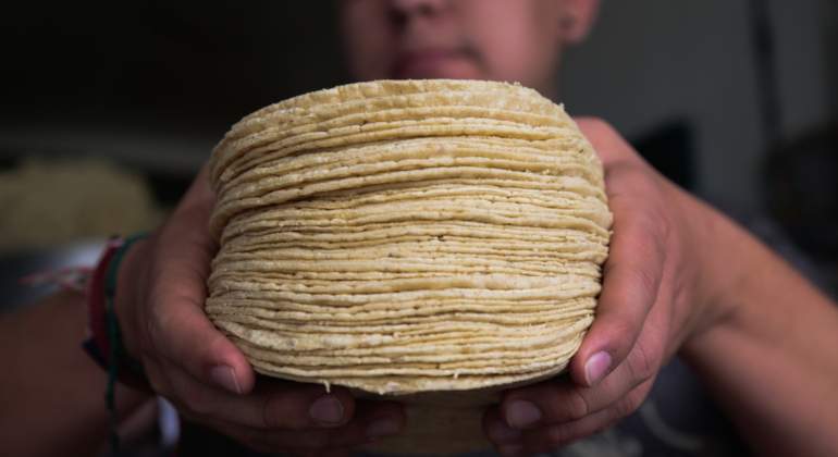 tortillas-productores-de-maiz.jpg