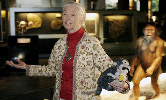 Jane-Goodall-defini.jpg