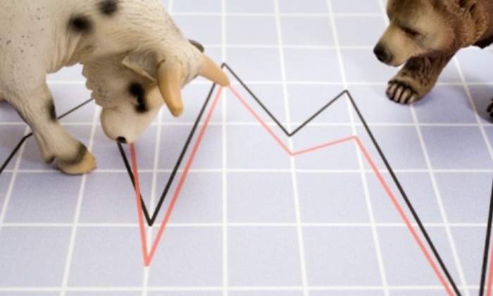 Oso-Toro-Grafico.jpg
