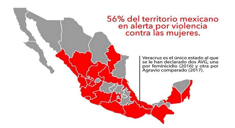 alerta-de-genero-feminicidios-770-420.jpg