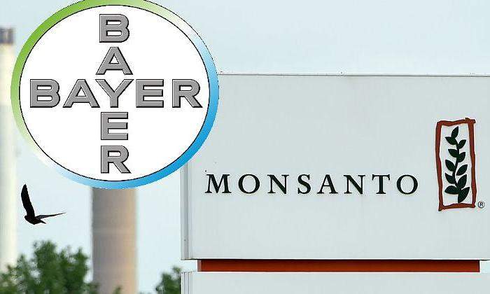 Bayer-monsanto-montaje.jpg